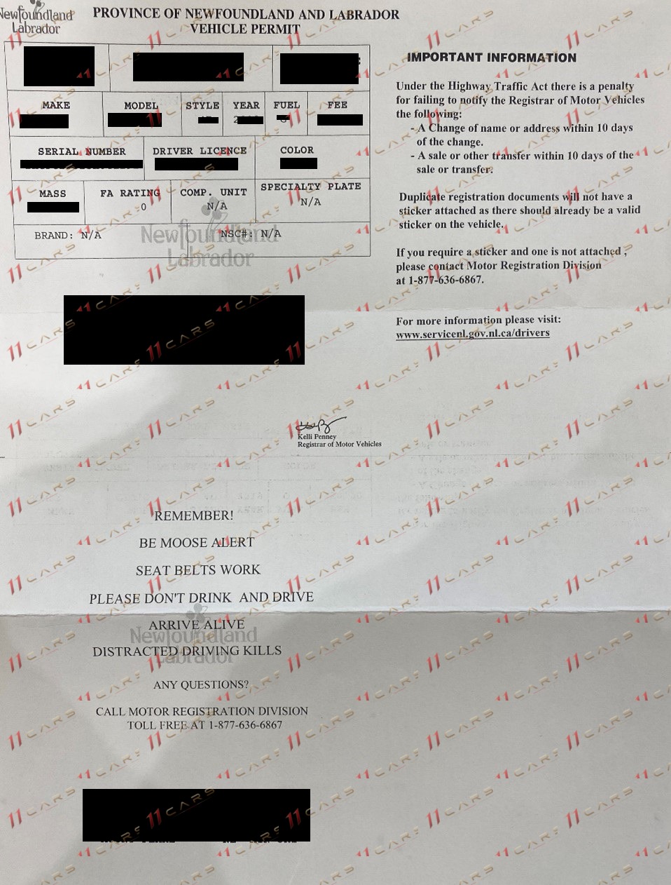 Документ на автомобила — Нюфаундленд и Лабрадор